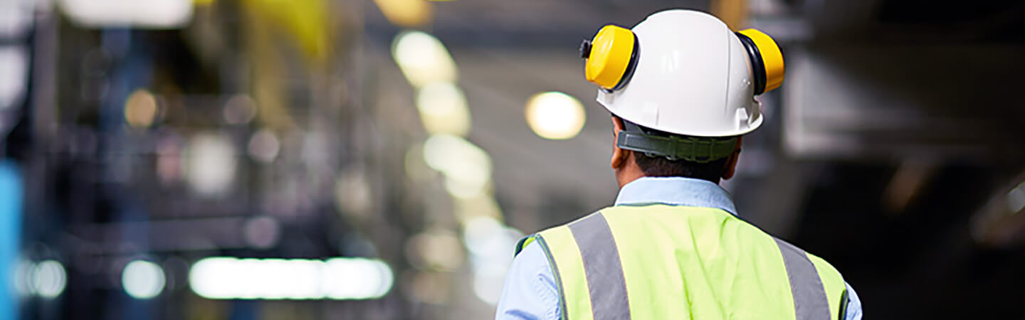 Line engineer observing plant